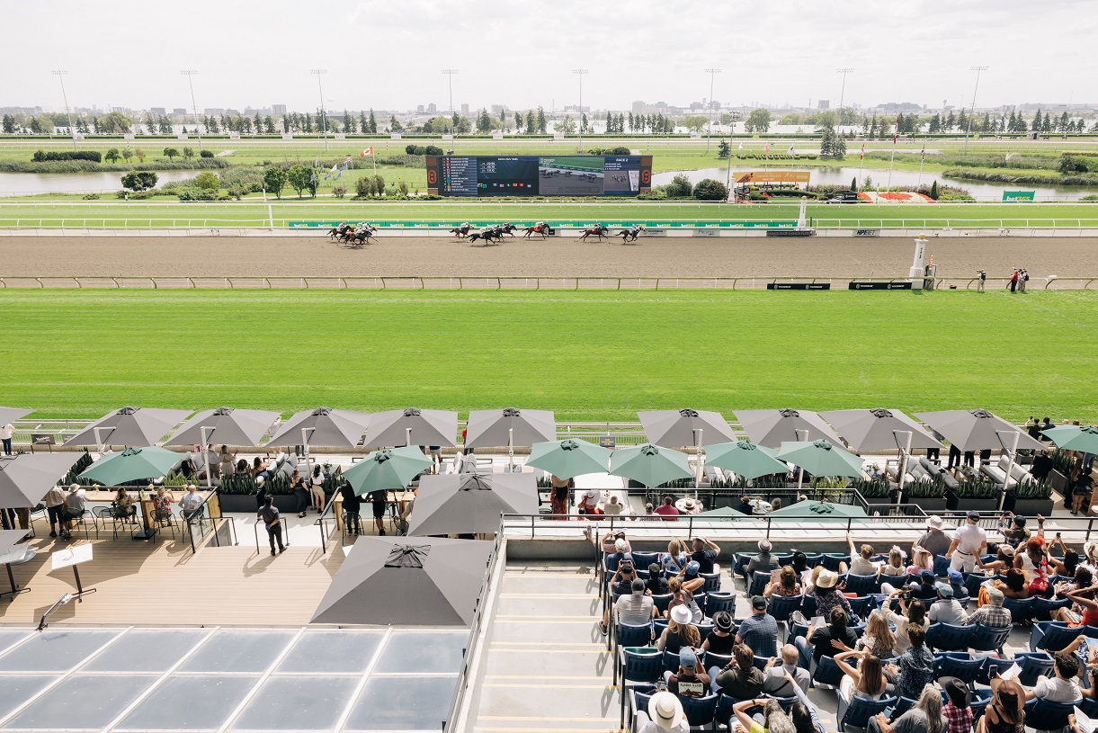 Host Your Event at Homestretch Bar and Suite at Woodbine Racetrack